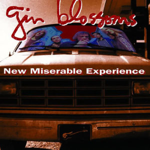 ดาวน์โหลดและฟังเพลง 29 พร้อมเนื้อเพลงจาก Gin Blossoms