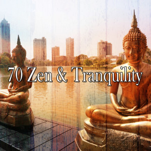 收聽Meditation的Constantly Evolving歌詞歌曲