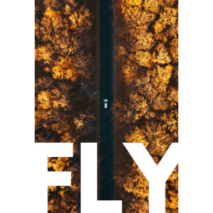收聽Michael Shynes的Fly歌詞歌曲