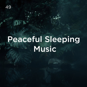 ดาวน์โหลดและฟังเพลง Nature Sounds For Relaxation พร้อมเนื้อเพลงจาก Yoga