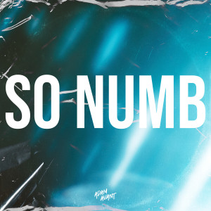Album So Numb from Adam Avant