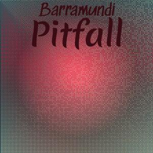 Various Artists的專輯Barramundi Pitfall