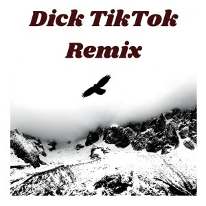 Listen to Dick TikTok Remix song with lyrics from Dj TikToker Viral