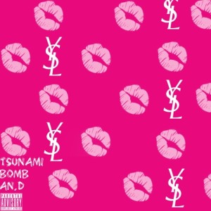 Album YSL (聖羅蘭) from 吴海啸