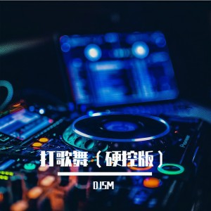 林樹豪的專輯打歌妹 (DJ沈默版)