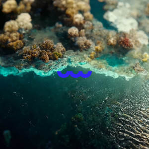 ดาวน์โหลดและฟังเพลง Ave de Paraiso พร้อมเนื้อเพลงจาก Ruth de las Plantas