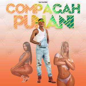 ดาวน์โหลดและฟังเพลง Punani (Explicit) พร้อมเนื้อเพลงจาก Compagah