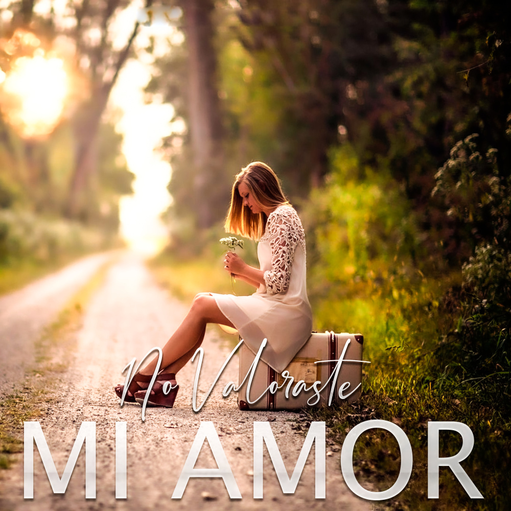 No Valoraste Mi Amor