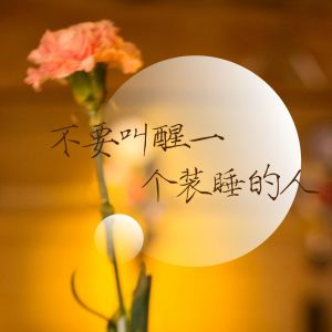 Listen to 不要叫醒一个装睡的人 song with lyrics from 怿宛