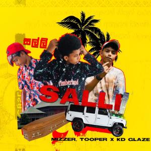 Mizzer的專輯Salli