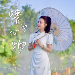 王紫菲的专辑情为何物