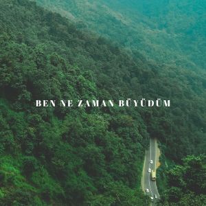 Album Ben Ne Zaman Büyüdüm from Niran Ünsal