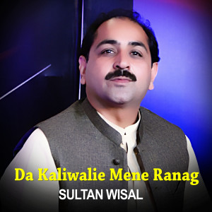 收听Sultan Wisal的Da Kaliwalie Mene Ranag I Sultan Wisal歌词歌曲