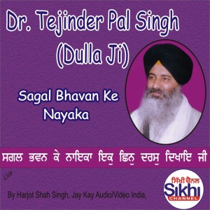 Dr. Tejinder Pal Singh Dulla Ji的專輯Sagal Bhavan Ke Nayaka