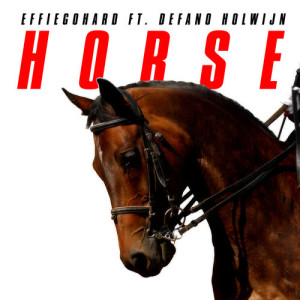 ดาวน์โหลดและฟังเพลง Horse พร้อมเนื้อเพลงจาก EFFIEGOHARD