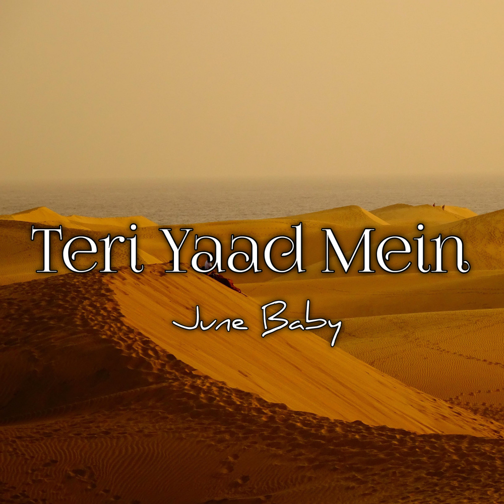 Teri Yaad Mein