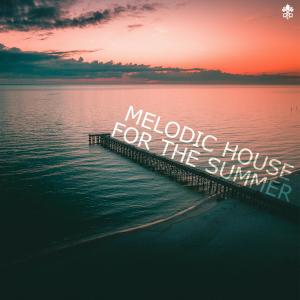 Album Melodic House For The Summer from Wholm