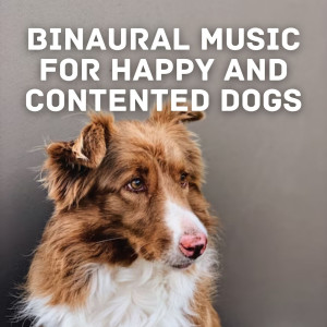 Dengarkan lagu Four-Legged Harmony nyanyian Sunday Chillout Songs dengan lirik