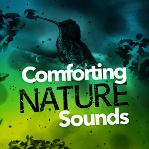 收聽Nature Sounds 2015的Stream at Dawn歌詞歌曲