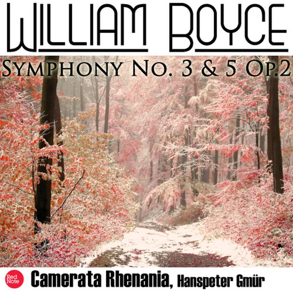 Symphony No. 3 in C Major, Op.2/3: II. Vivace