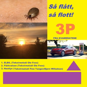 ดาวน์โหลดและฟังเพลง Høstlys พร้อมเนื้อเพลงจาก Kvameratene