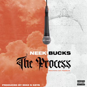 The Process (feat. Kay Franklin) (Explicit)