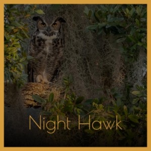 Album Night Hawk from 