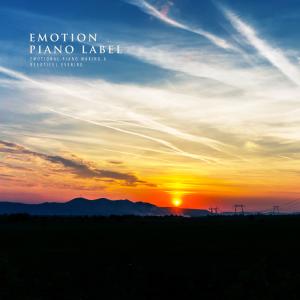 อัลบัม Emotional Piano Making A Beautiful Evening ศิลปิน Various Artists