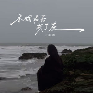 อัลบัม 香烟最后成了灰 (DJ默涵版) ศิลปิน 田园