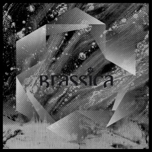 收聽Brassica的Lydden Circuit (Capracara Remix)歌詞歌曲