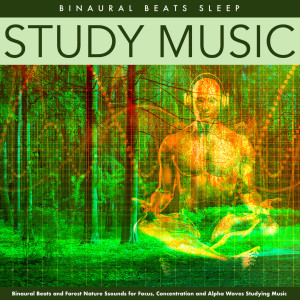 Dengarkan lagu Scenic Glory nyanyian Binaural Beats Sleep dengan lirik