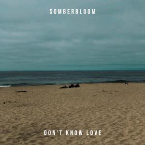 Album Don't Know Love oleh somberbloom