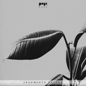 ดาวน์โหลดและฟังเพลง Nodeark พร้อมเนื้อเพลงจาก Laertes