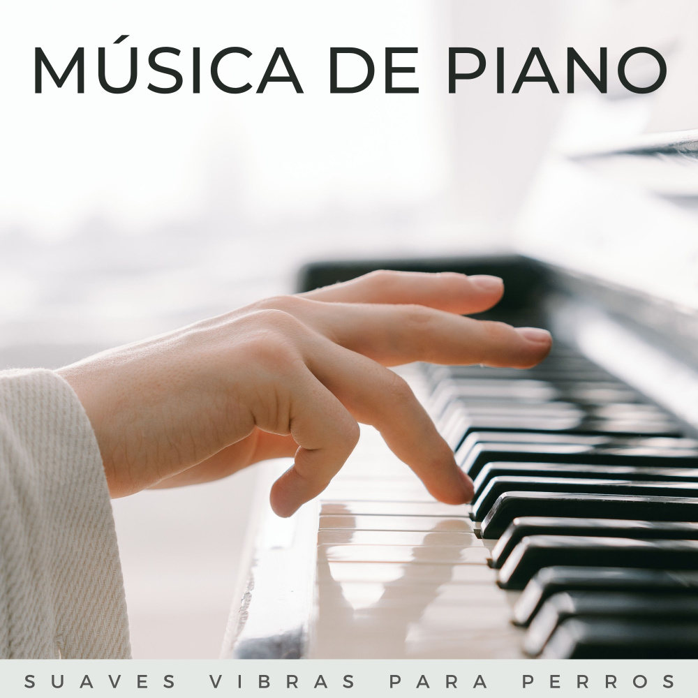 Piano Que Afirma La Vida