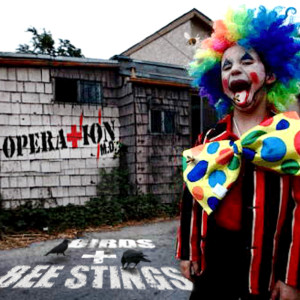 Operation MD的专辑Birds + Bee Stings