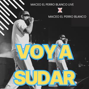 收聽maceo el perro blanco live的voy a sudar (live)歌詞歌曲