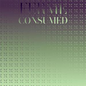 ดาวน์โหลดและฟังเพลง Mishappy Whomsoever พร้อมเนื้อเพลงจาก Scara Jare