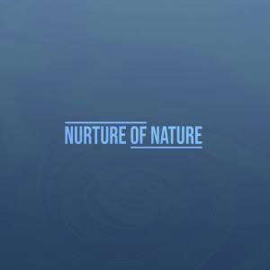 Nurture of Nature的专辑Evening Drops (Rain)
