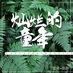 收聽夏勇的燦爛的童年歌詞歌曲