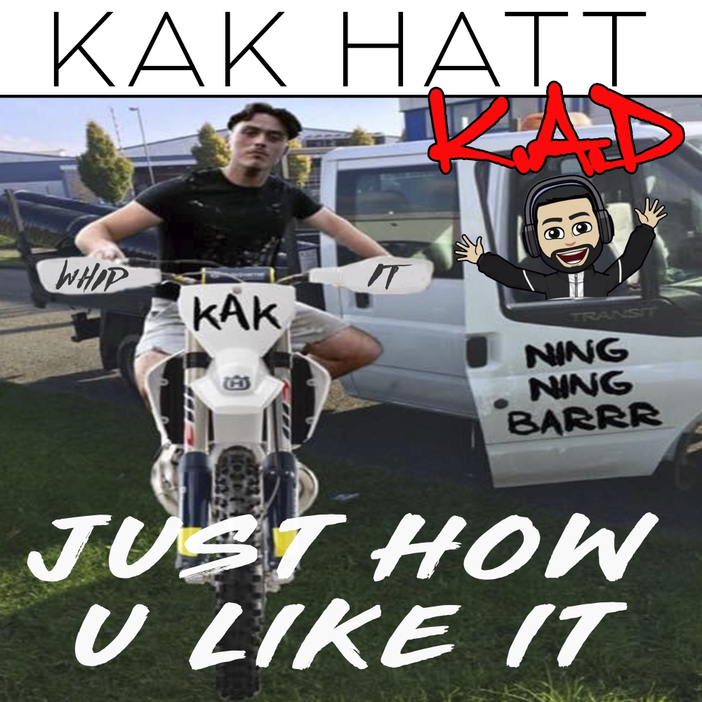 Just How You Like It (Explicit)