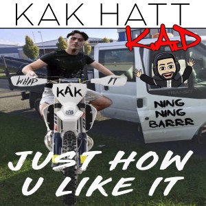 ดาวน์โหลดและฟังเพลง Just How You Like It (Explicit) พร้อมเนื้อเพลงจาก K.A.D