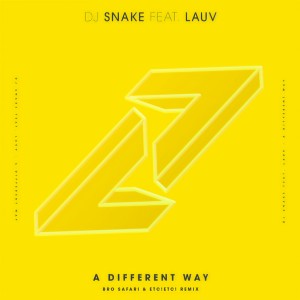 收聽DJ Snake的A Different Way (Bro Safari & ETC!ETC! Remix)歌詞歌曲
