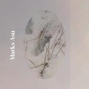 ดาวน์โหลดและฟังเพลง Delicacy Some พร้อมเนื้อเพลงจาก Chane Grig