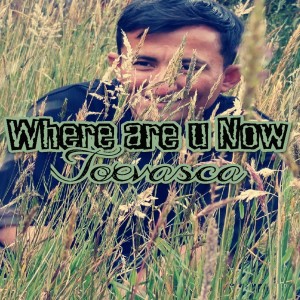 อัลบัม Where Are U Now ศิลปิน Joevasca
