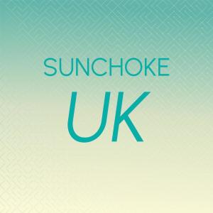 Various的专辑Sunchoke Uk