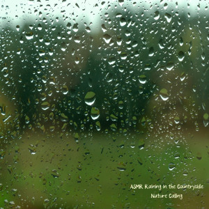 Listen to 시골에서 듣는 잔잔한 빗소리 Softly Raining in the Countryside song with lyrics from 네이쳐콜링