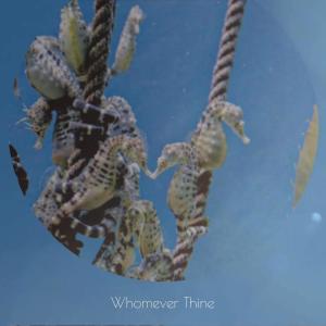收听Chuan Delan的Whereinto International歌词歌曲