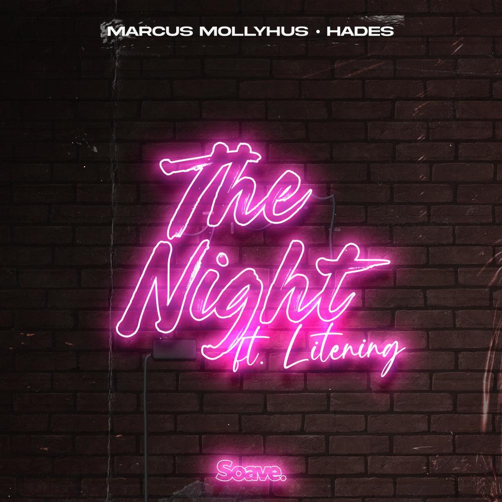 The Night (feat. Litening)
