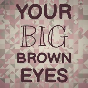 Album Your Big Brown Eyes from Silvia Natiello-Spiller