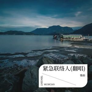 Listen to 紧急联络人 (cover: Gareth.T) (完整版) song with lyrics from 惟韵